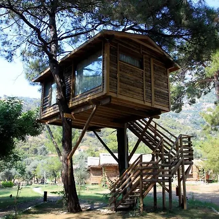 Sea Valley ファラリア