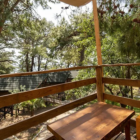 ホテル Sea Valley ファラリア