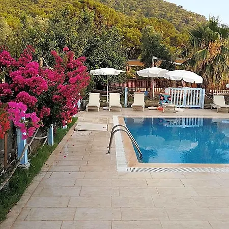 Sea Valley 3*